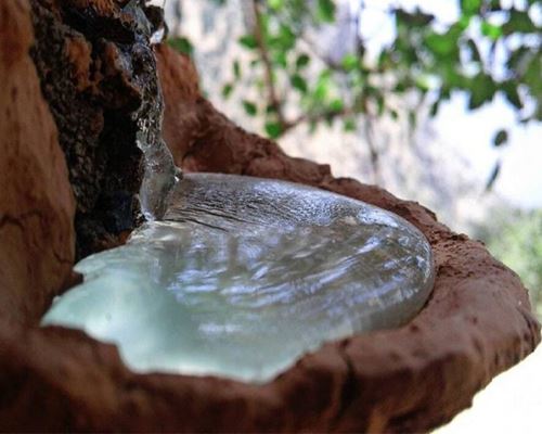 خواص سقز را بهتر بشناسید