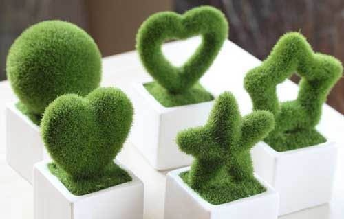 روش کاشت سبزه عید به شکل های زیبا وشیک