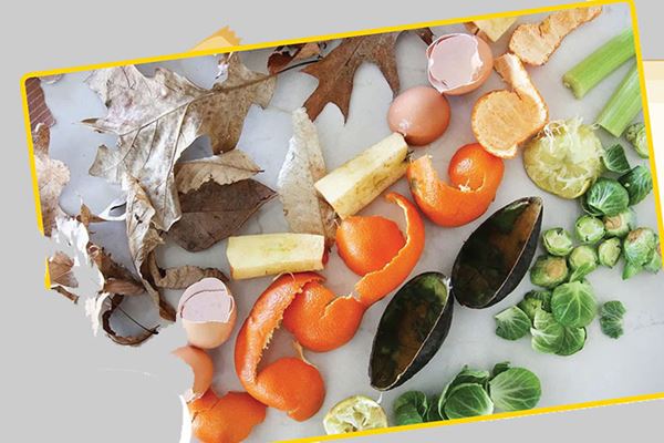 چگونگی ساخت سطل کمپوست خانگی