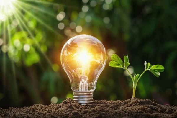 تولید برق  از خاک گیاهان