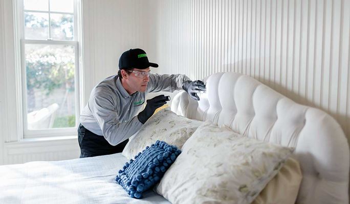 چطور ساس را ریشه کن کنیم؟