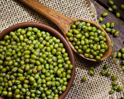 آنچه در مورد فواید و خواص ماش باید بدانید