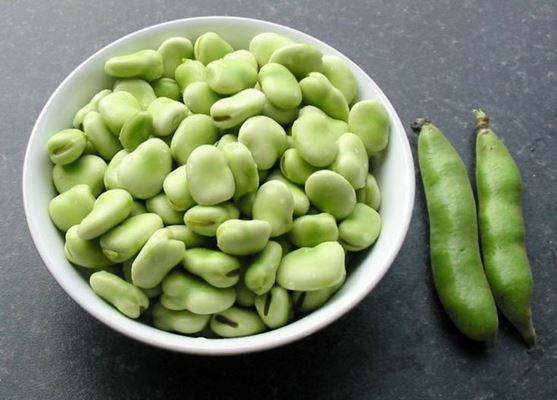 چه افرادی نباید باقالا مصرف کنند؟ 