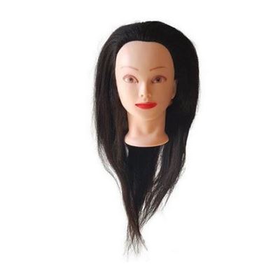 کله مانکن + ابزاری ضروری برای آموزش