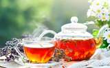 راهنمای انتخاب و خرید چای ایرانی و معرفی بهترین برندها 