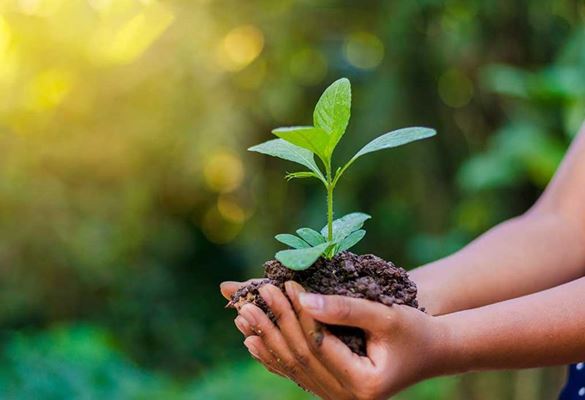 روز جهانی خاک و اهمیت آن