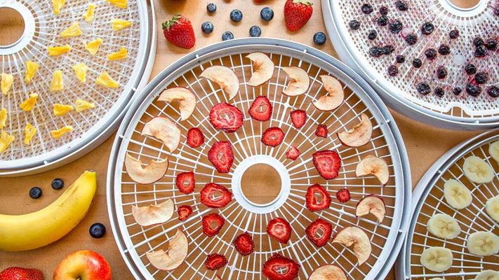 حفظ ویتامین میوه ها با میوه خشک کن ها