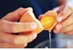 فواید و مضرات زرده تخم مرغ را بشناسید 