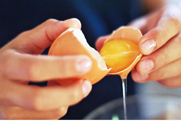 فواید و مضرات زرده تخم مرغ را بشناسید