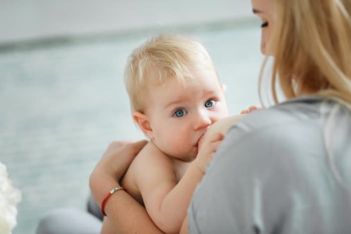 بارداری و شیردهی