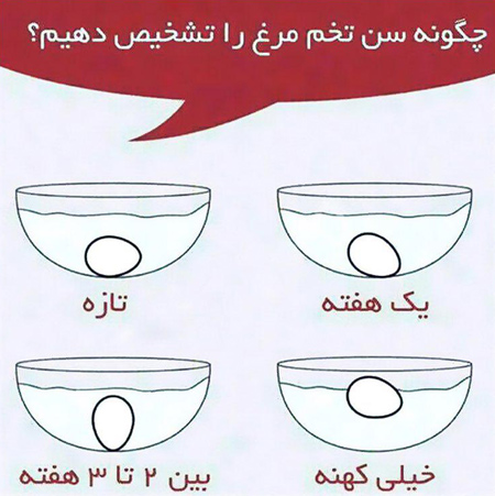 سن تخم مرغ,تشخیص سن تخم مرغ