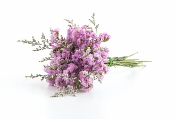 روغن اسطوخودوس