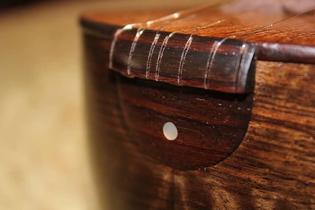 سیم گیر سه تار