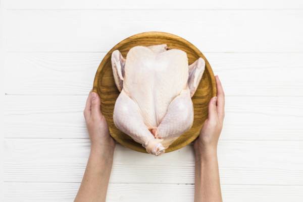 میکروب در مرغ