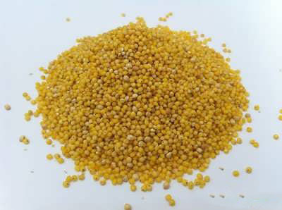 خاصیت های شگفت انگیز دانه های ارزن