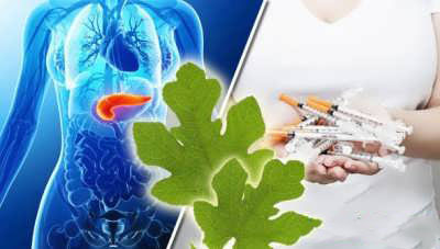 خواص برگ انجیر و کنترل قند خون