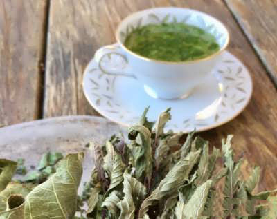 چای برگ انجیر