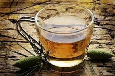 خواص برگ کاج