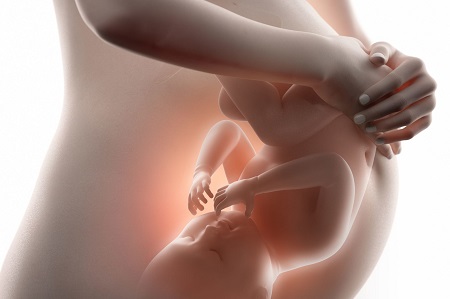 اهمیت حرکات جنین در بارداری, حرکات جنین به صورت طبیعی, احساس حرکات جنین در رحم