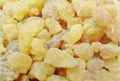 خاصیت های بی نظیر سقز در طب سنتی و صنایع