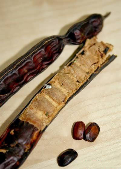 خواص خرنوب هندی