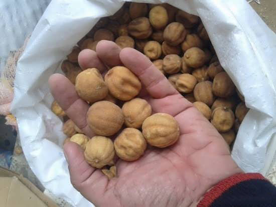 خواص لیمو عمانی