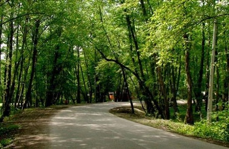 پارک جنگلی لتمال کن, لتمال کن, پارک  لتمال کن