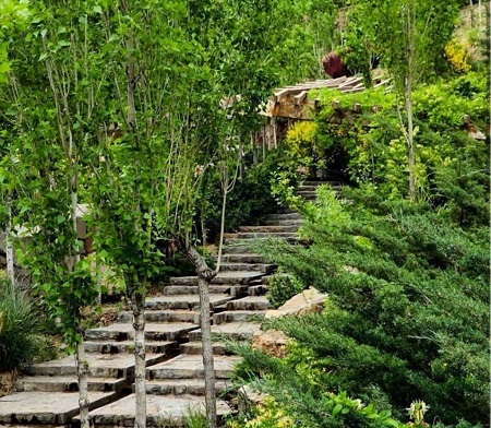 لتمال کن کجاست, پارک جنگلی لتمال کن, لتمال کن