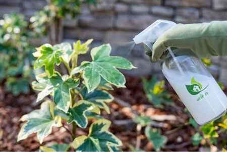 شیر ترش شده و تاریخ گذشته,استفاده مفید از شیر بریده شده و ترش شده,استفاده از شیر بریده شده