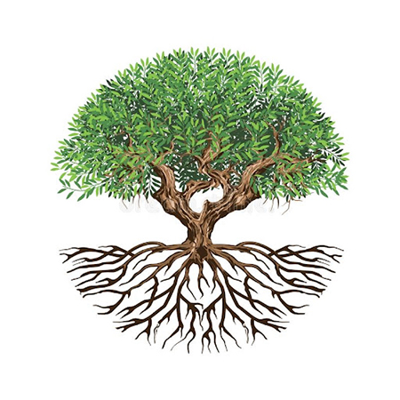  درخت زندگی در ایران باستان, درخت زندگی در آینده, کتاب درخت زندگی