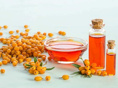 خواص درمانی روغن هسته سنجد, کاربرد روغن هسته سنجد, روغن هسته سنجد
