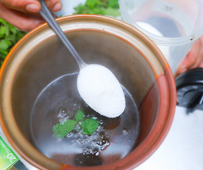 خاصیت دمنوش نعناع