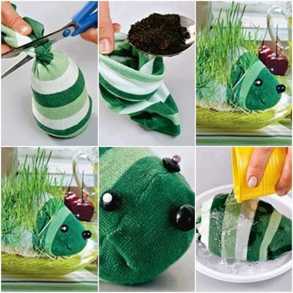 طرز کاشت سبزه عید عروسکی