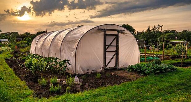 همه چیز درباره پلاستیک‌های گلخانه‌ای، کشاورزی و  عریض