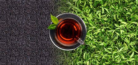 چای سیلان چیست؟ مزایا و دستورالعمل تهیه چای سیلان
