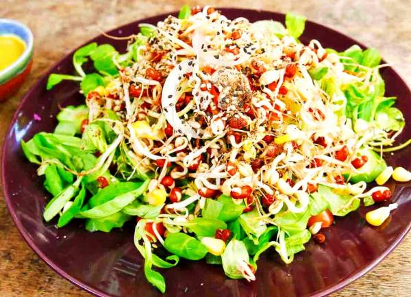 سالاد کاهو و جوانه گندم