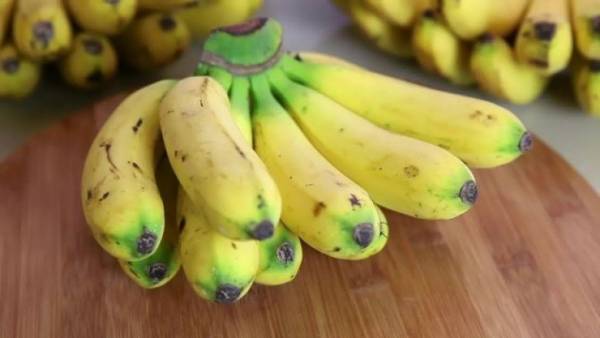 نگهداری موز 