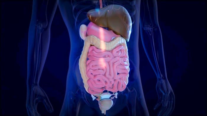 چای ترش برای کبد 