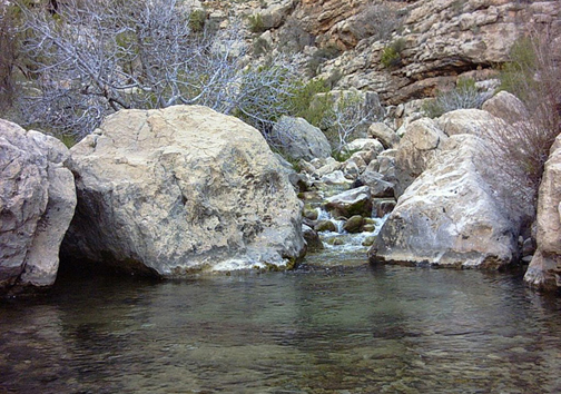 از جاذبه های تاریخی و طبیعی تا مسجد جامع کبیر نی ریز شاهکاری در دوره ساسانی