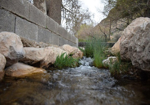 از جاذبه های تاریخی و طبیعی تا مسجد جامع کبیر نی ریز شاهکاری در دوره ساسانی