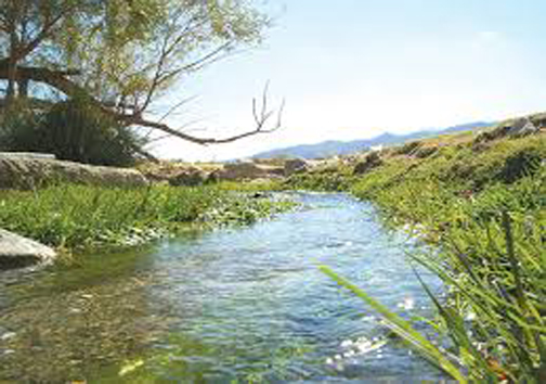 از جاذبه های تاریخی و طبیعی تا مسجد جامع کبیر نی ریز شاهکاری در دوره ساسانی