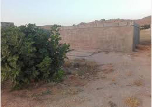 از جاذبه های تاریخی و طبیعی تا مسجد جامع کبیر نی ریز شاهکاری در دوره ساسانی