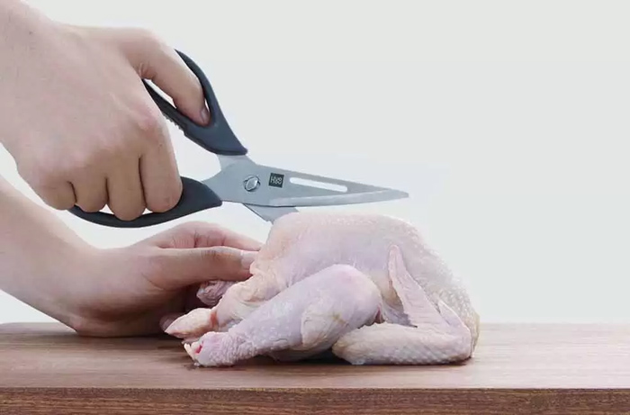 قیچی مرغ و ماهی